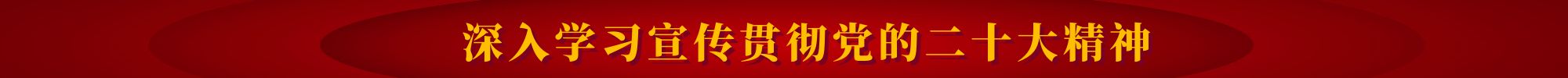 深入學習宣傳貫徹黨的二十大精神