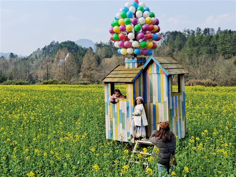 油菜花開春意濃