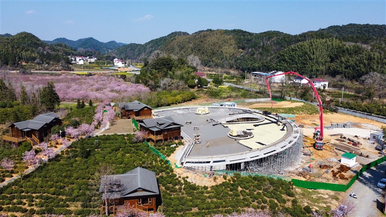 不負好春光 項目建設忙